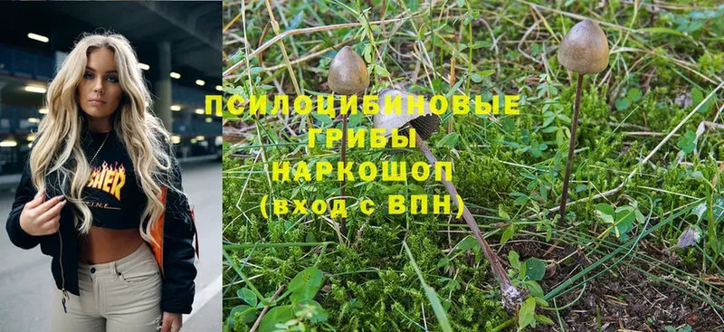 Все наркотики Нижний Ломов Амфетамин  МЕФ  Гашиш  СОЛЬ 