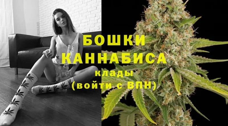 продажа наркотиков  Нижний Ломов  Шишки марихуана OG Kush 